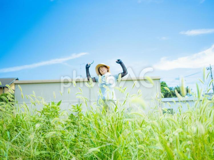 35：草むしりをする女性 草刈り,雑草,庭仕事の写真素材
