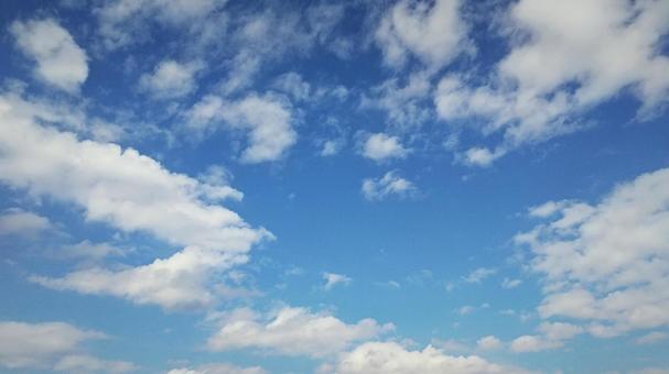青空 青空の写真