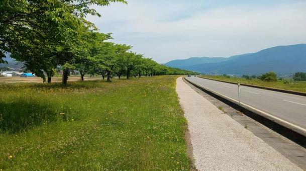 サイクリングロード サイクリングロード 風景,自然,ハイキングの写真素材