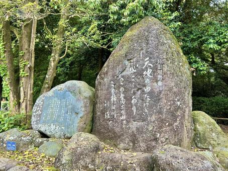 柿田川公園 柿田川公園の写真