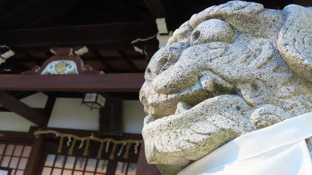 多奈波太神社 狛犬 多奈波太神社 狛犬 多奈波太神社,天道,七夕の写真素材