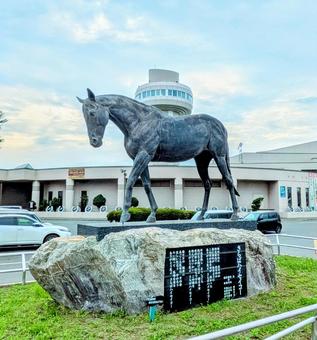 Photo, horse, hidaka, like, 