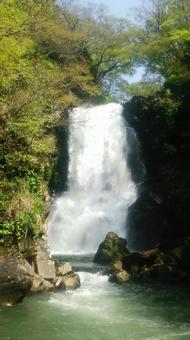 奈曽の白滝 奈曽の白滝 奈曽の白滝,滝,自然の写真素材