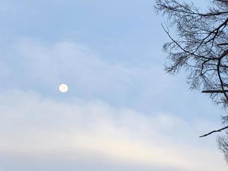 夕暮れ時、西の空に浮かぶ月 昼の月,日中,昼間の写真素材
