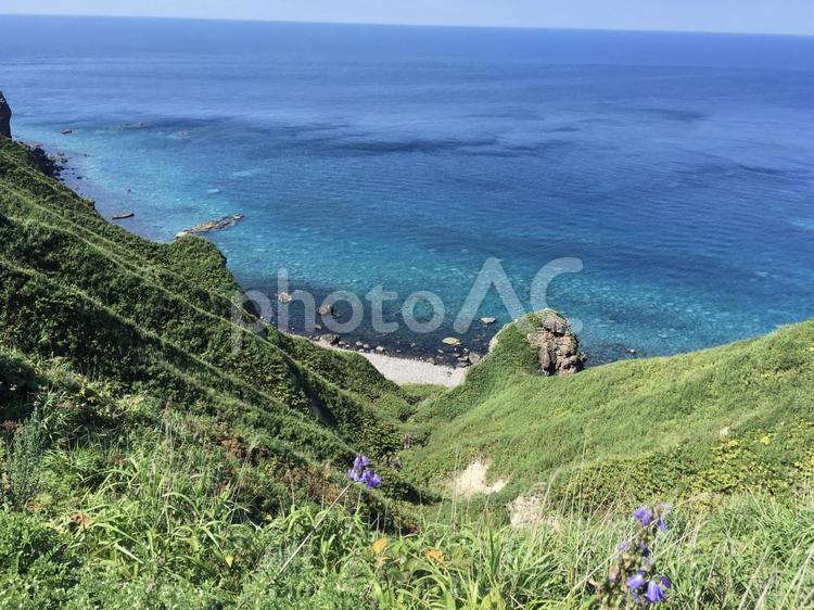 夏！青い海！積丹半島（北海道） 夏,海,青の写真素材