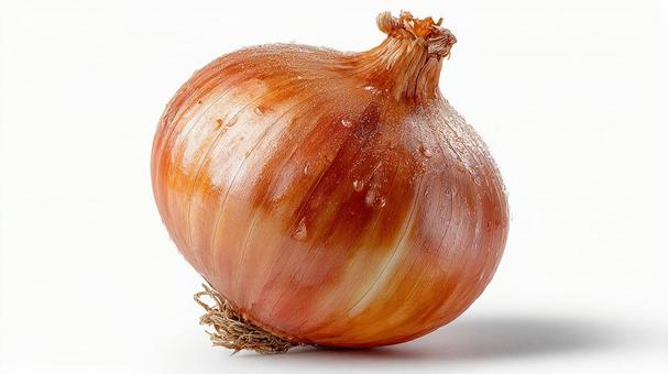 茶色の玉ねぎ単体 茶色の玉ねぎ単体の写真