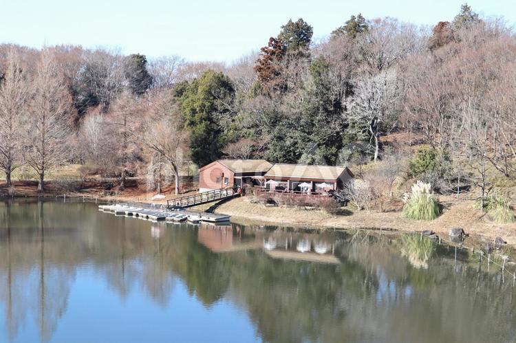 冬の貸しボート小屋の風景 貸しボート,冬,池の写真素材