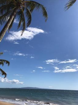 ハワイの浜辺 ハワイの浜辺の写真