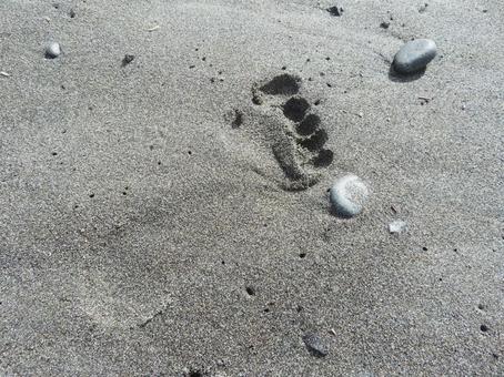 砂浜についた足跡 砂浜についた足跡 足跡,砂浜,海の写真素材
