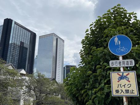 神田川9月：歩行者道路と西新宿の高層ビル 標識,看板,歩行者用道路の写真素材