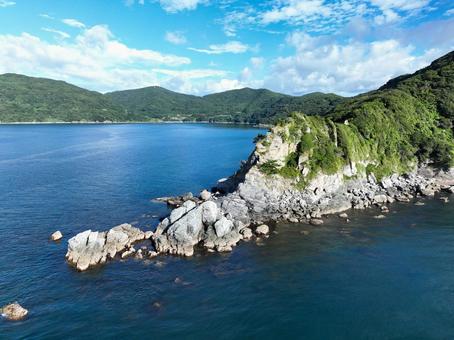 Photo, rhinophyma, cape, peninsula, 
