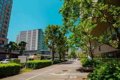 【神奈川】横浜の街並み 2025 横浜,みなとみらい,神奈川の写真素材