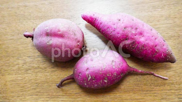 プランターで育てたサツマイモ さつまいも,サツマイモ,あまいの写真素材