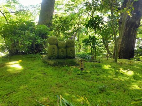 長谷寺の癒やしのお地蔵さん 長谷寺の癒やしのお地蔵さんの写真