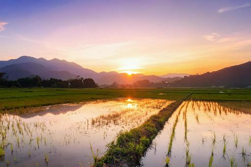 Paddy field and mountain scenery at dusk, paddy field, paddy field, sunset, JPG
