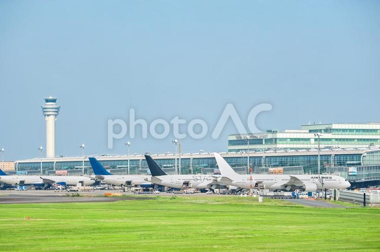 羽田空港第3ターミナルに並ぶ飛行機 東京都,大田区,羽田空港の写真素材