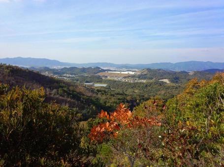 郊外の秋景色と山並み 郊外の秋景色と山並み 秋,山,自然の写真素材