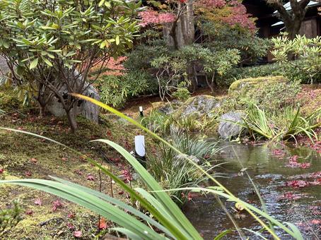 清水寺の日本庭園2 清水寺の日本庭園2の写真