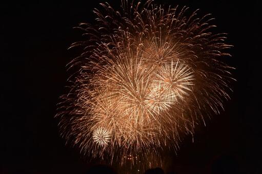 夜空に広がる華やかな大輪の花火﻿ 花火,打ち上げ花火,夜空の写真素材