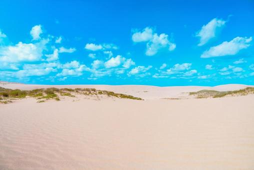 【鳥取】青空と鳥取砂丘 鳥取砂丘,砂丘,鳥取の写真素材
