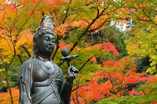 ぼけ封じ観音と紅葉 ぼけ封じ観音と紅葉 紅葉,もみじ,秋の写真素材