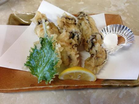 浦村の牡蠣5 浦村の牡蠣5 牡蠣,牡蠣の天ぷら,浦村の写真素材