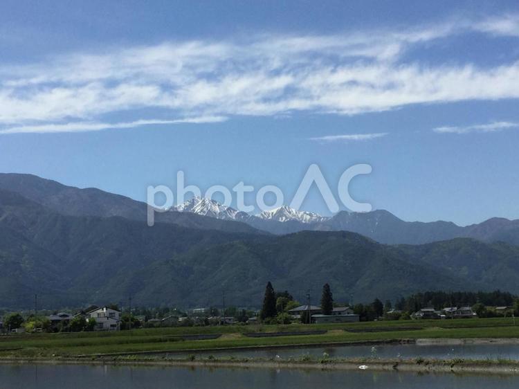 初夏の常念岳と水田 常念岳,初夏の風景,田んぼの写真素材