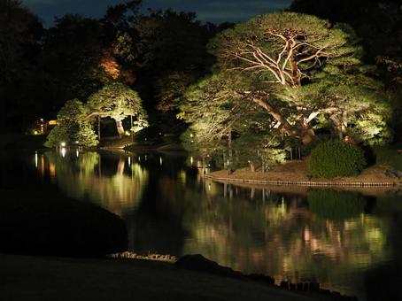 六義園の写真