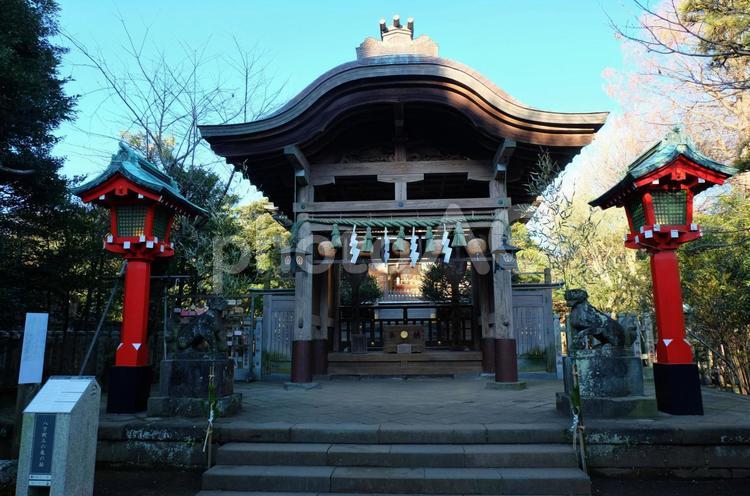 江島神社・奥津宮 ライトアップ,初詣,江ノ島の写真素材