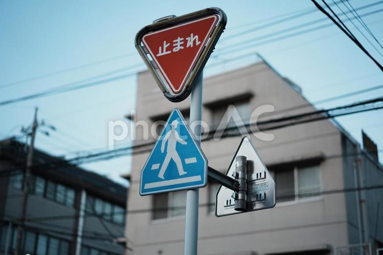 横断歩道と止まれの標識 止まれ,横断歩道,標識の写真素材