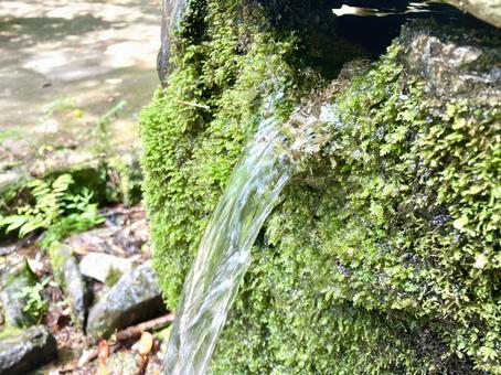 Spring water, JPG Spring water, JPG