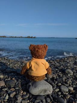 熊のぬいぐるみと海　静岡県 海,熊,ぬいぐるみの写真素材