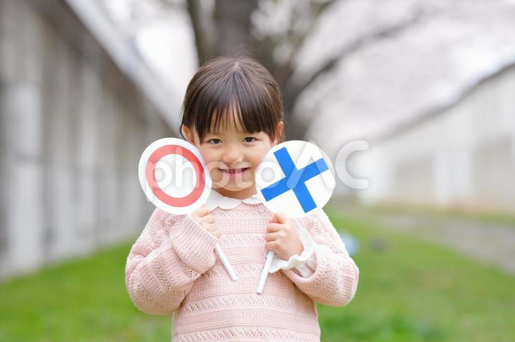 桜の前でマルバツの札を持っている女の子 女の子,小学生,子どもの写真素材