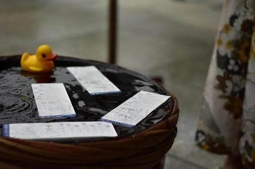 水みくじ おみくじ,水みくじ,アヒルの写真素材