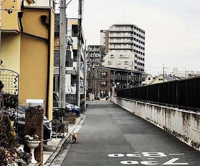 街並み 街並みの写真