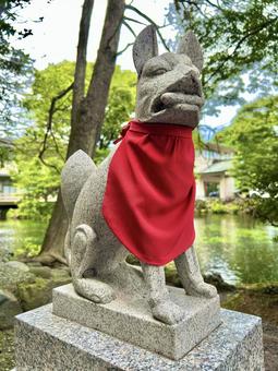 お稲荷様(富士宮浅間大社) お稲荷様(富士宮浅間大社) お稲荷様,稲荷,湧玉池の写真素材