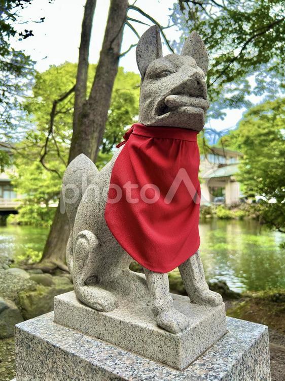 お稲荷様（富士宮浅間大社） お稲荷様,稲荷,湧玉池の写真素材