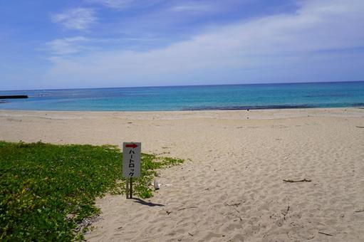 奄美大島　ハートロックの看板の写真