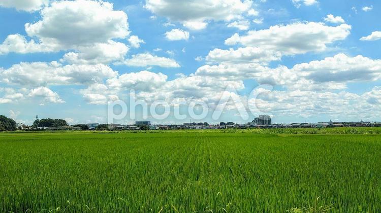 田園風景 田園,田園風景,田んぼの写真素材