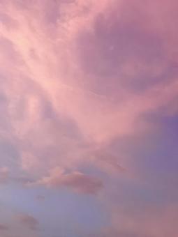 ピンク色の雲のある夕空 ピンク色の雲のある夕空 空,夕暮れ時,夕方の写真素材