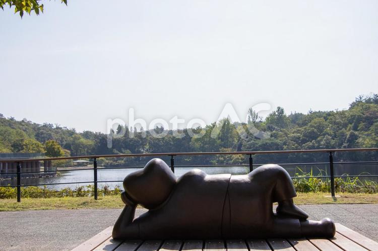 愛・地球博記念公園 かえで池 愛・地球博記念公園,かえで池,モリコロパークの写真素材