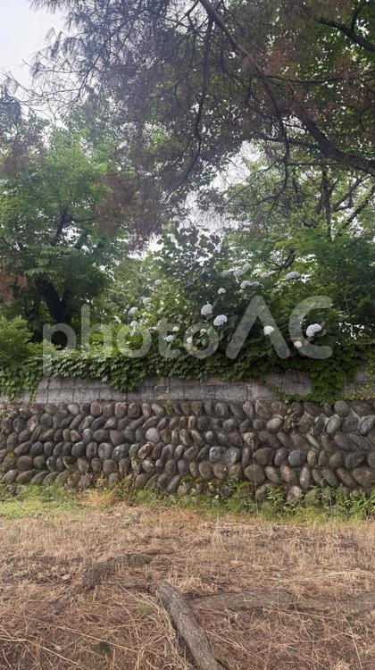 新潟県新発田市の公園1 新潟県,新発田市,公園の写真素材