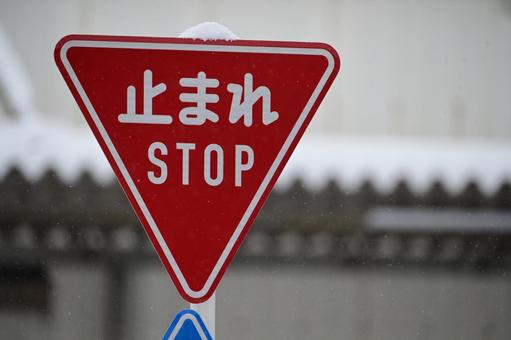 「止まれ」の標識 標識,止まれ,道路の写真素材