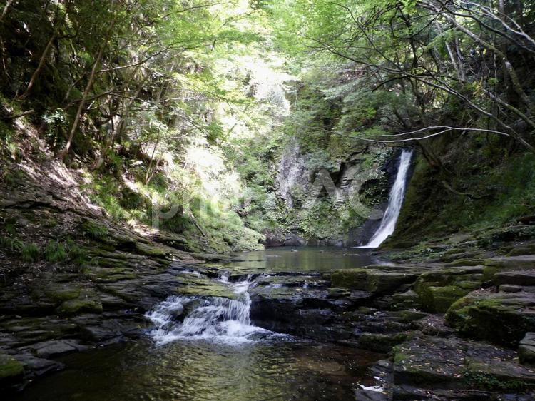 森林に流れる川と滝 滝,川,自然の写真素材