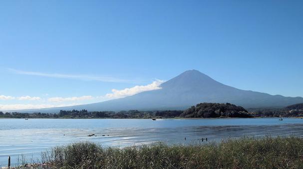 初秋の河口湖大石公園から望む富士山 初秋の河口湖大石公園から望む富士山 富士山,初秋,9月の写真素材