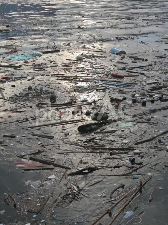 台風後の海 海,風景,港の写真素材