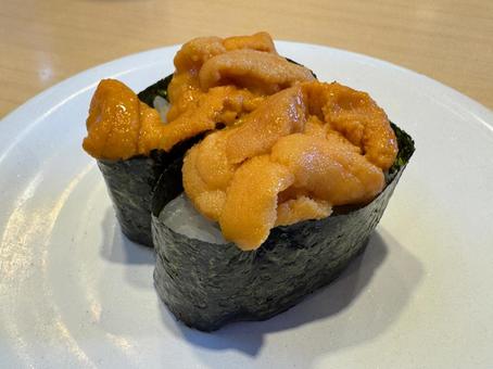 うに軍艦 うに軍艦,うに,雲丹の写真素材