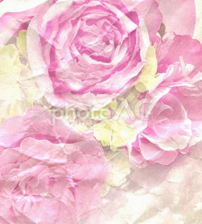 ピンク系の花の包装紙風背景 バラの花,包む,包装の写真素材