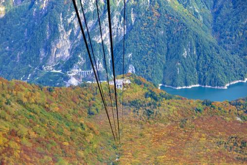 北アルプス紅葉10年ぶりの当たり年 北アルプス,立山,黒部の写真素材