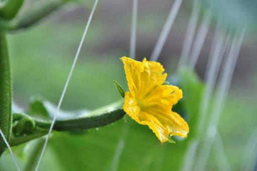 In the rain, JPG In the rain, JPG